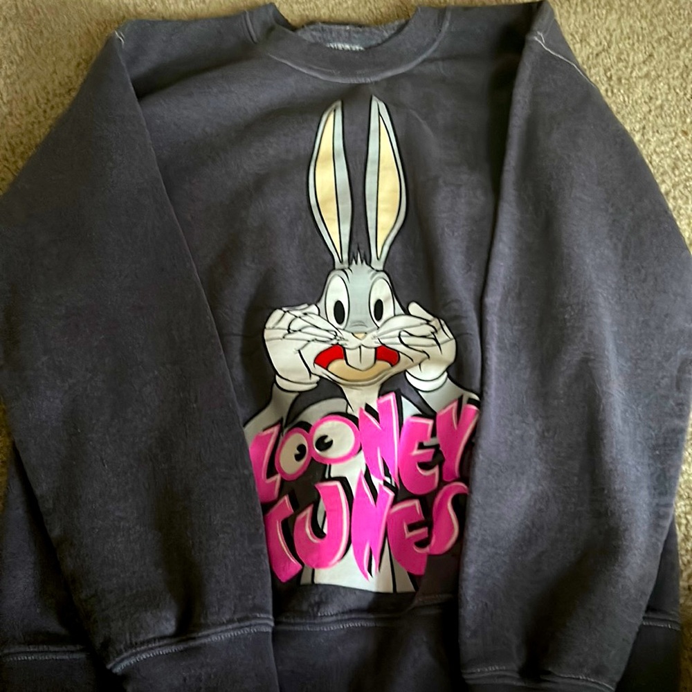 Looney tunes sweater